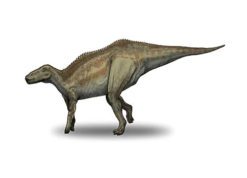 Shantungosaurus ‭(‬Shantung lizard‭)‬