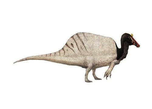 Spinosaurus ‭(‬Spine lizard‭)