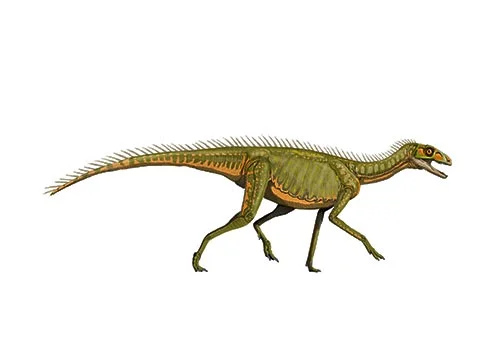 Staurikosaurus ‭(‬Southern cross lizard‭)