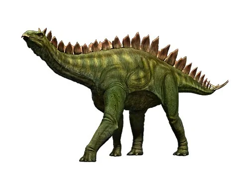 Stegosaurus‭ (‬Roof lizard‭)‬