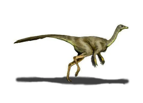 Struthiomimus ‭(‬Ostrich mimic‭)‬