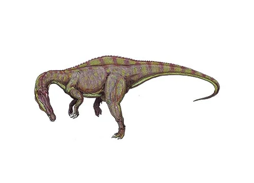 Suchomimus ‭(‬Crocodile mimic‭)‬