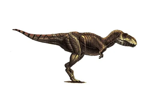Tarbosaurus ‭(‬Terrifying lizard‭)
