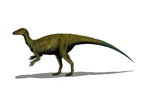 Thescelosaurus ‭(‬Wondrous lizard‭)