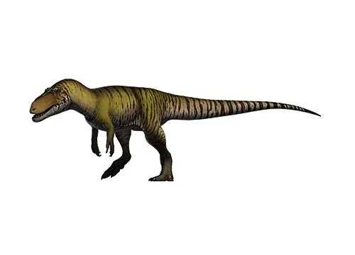 Torvosaurus ‭(‬Savage lizard‭)