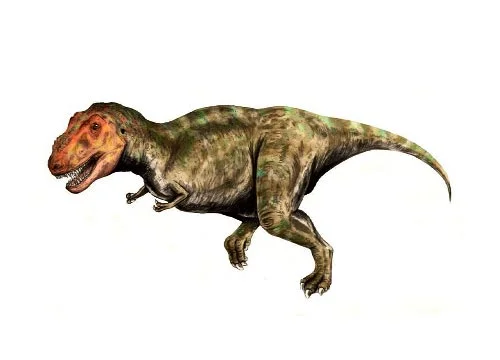 Tyrannosaurus ‭(‬Tyrant lizard‭)