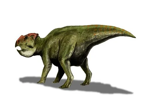 Udanoceratops ‭(‬Udan-Sayr horned face‭)
