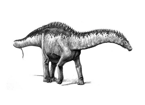 Yuanmousaurus ‭(‬Yuanmou lizard‭)