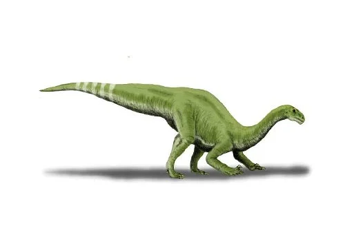 Yunnanosaurus ‭(‬Yunnan Province‭)