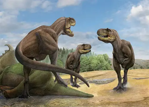 Did dinosaurs hunt in packs?